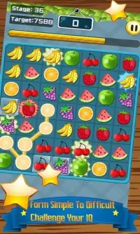 Fruit Legend Screen Shot 3