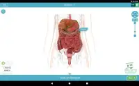 3D Anatomy Quiz Screen Shot 13