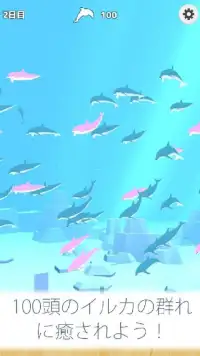 まったりイルカ育成ゲーム - 癒されるイルカのゲーム(無料) Screen Shot 4