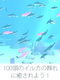 まったりイルカ育成ゲーム - 癒されるイルカのゲーム(無料) Screen Shot 0