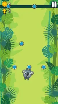 Koala Sling - Game Screen Shot 5