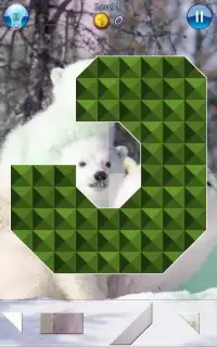 Hidden Pieces: Polar Bears Screen Shot 2