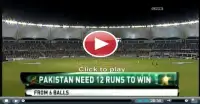 Pak vs Aus Live Cricket TV All Screen Shot 7