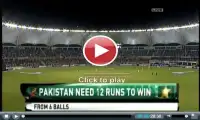 Pak vs Aus Live Cricket TV All Screen Shot 3