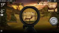 Deer Target Hunting - Pro Screen Shot 3
