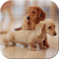 Tile Puzzle - Baby Animals