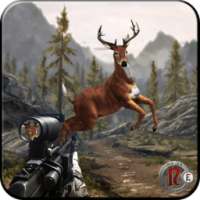 Wild Deer Hunt 2016 - Sniper