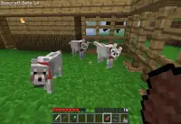 Pocket Pet Mod For Minecraft Screen Shot 2