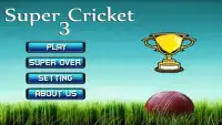 New Super Cricket 3 Screen Shot 3