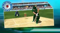 Circle Of Cricket Screen Shot 0