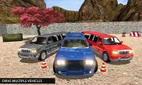 Offroad Uphill Limo Driving 3D Screen Shot 14