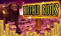 Wild Buffalo - Vegas Jackpot Screen Shot 14