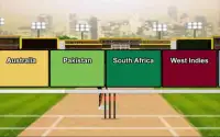 Domestic Cricket Tournament Screen Shot 5