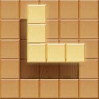 Wood Puzzle Block