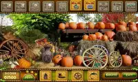 Pumpkin Farm New Hidden Object Screen Shot 1