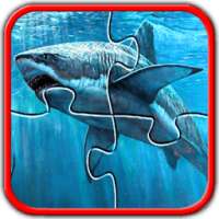 Sharks Jigsaw Puzzles Game kid