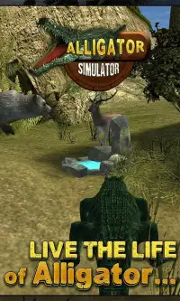 Crocodile Attack Sim 3D - 2016 Screen Shot 14