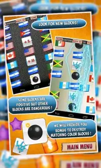 Flags of the World :The Puzzle - Free Screen Shot 2