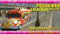 Peshawar Zalmi Bus Simulator Screen Shot 2
