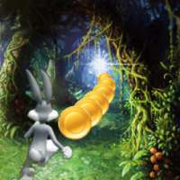 * Crazy bugs rabbit bunny run