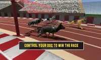Crazy dog racing Screen Shot 1