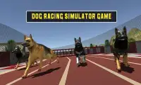 Crazy dog racing Screen Shot 5