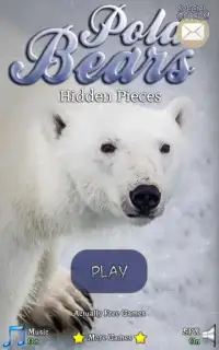 Hidden Pieces: Polar Bears Screen Shot 4