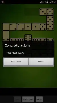 Domino Pro 2017 Screen Shot 2