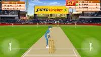 New Super Cricket 3 Screen Shot 1