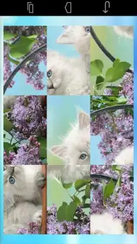 кошки плитка головоломка Screen Shot 0