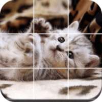 кошки плитка головоломка