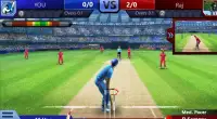 T20 Cricket Screen Shot 1