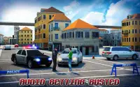 Border Police Adventure Sim 3D Screen Shot 9