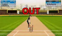 Domestic Cricket Tournament Screen Shot 4