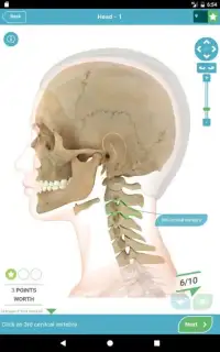 3D Anatomy Quiz Screen Shot 5