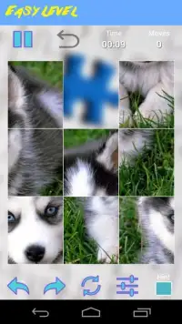 Husky Jigsaw Puzzle Screen Shot 3