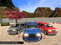 Offroad Uphill Limo Driving 3D Screen Shot 2