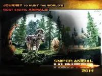 Jungle Animal Sniper Hunter Screen Shot 2