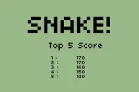 Snake the Original Screen Shot 2