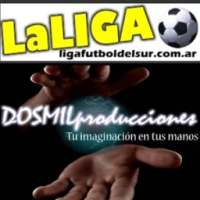 Liga Futbol Del Sur