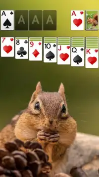 Solitaire Cute Squirrel Theme Screen Shot 3