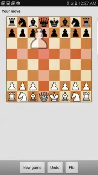 Chess Grandmaster Screen Shot 2