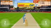 Cricket Mania 2017 Screen Shot 8