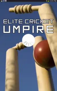 Elite Cricket Umpire Screen Shot 8