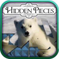 Hidden Pieces: Polar Bears