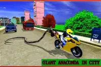 Angry Anaconda Attack Sim 3D Screen Shot 2