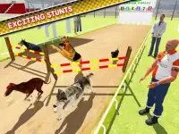 Dog Training Jump & Stunt Sim Screen Shot 9