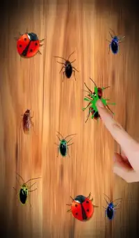 Cockroach Smasher Free Screen Shot 0