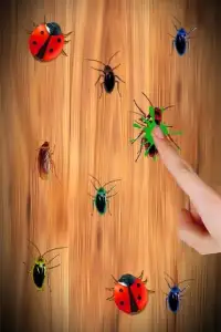 Cockroach Smasher Free Screen Shot 4