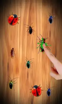 Cockroach Smasher Free Screen Shot 9